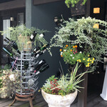 La Pirata ラ・ピラータ - 