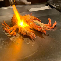 博多みやちく -  博多みやちく -