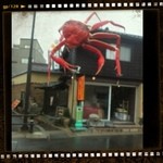 越前蟹の坊 - 入り口の蟹にテンションアップ♡