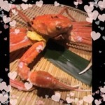 越前蟹の坊 - 茹でカニ♡