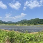 田舎食堂 みっちゃん - 