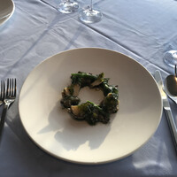 International cuisine subzero - 