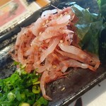 黒潮金剛 どろめ - 