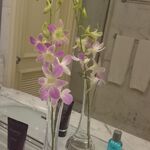 クラブラウンジ - 