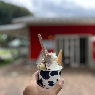 口コミ一覧 : icecream factory PiPi (ピピ【旧店名】東京 口コミ一覧 : icecream factory PiPi (ピピ【旧店名】東京