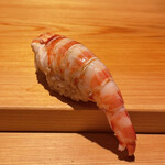 鮨 さかい - 大きなえび