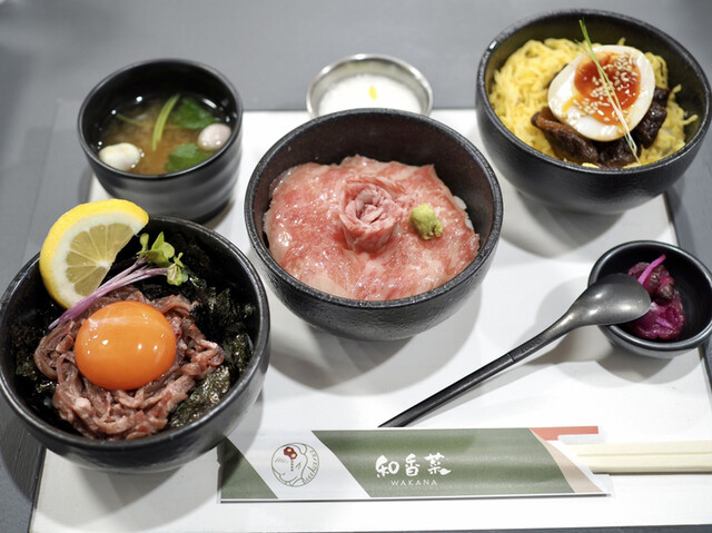Saryo Wakana photo 2