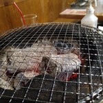 Tamaniha Yakiniku - 