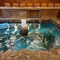 河太郎 中洲本店 - 