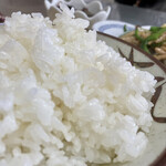 Hanamasa - 白米