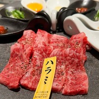 niku no OTO - 
