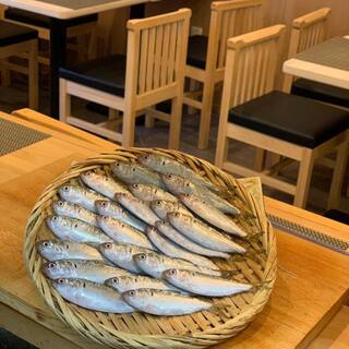 小田原海鮮 天つく_1