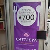 カトレア