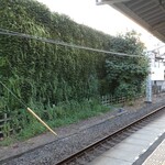 立呑み晩杯屋  - 中板橋ホームから、これ家なんですよ...