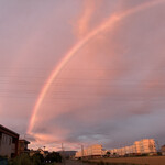 大鵬 - なんかキモい！