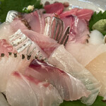 いりいち - 極の魚たち