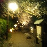 長瀞 - 妖しい夜桜