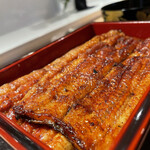 Unagi Tokitou - 