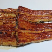 駒形前川 新丸ビル店 -  駒形前川 新丸ビル店 -