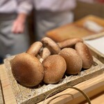 日本橋 蕎ノ字 - 玉取茸