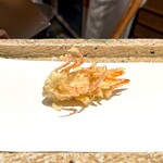 日本橋 蕎ノ字 - 車えび 頭