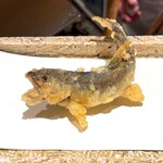 日本橋 蕎ノ字 - あゆ 天竜川