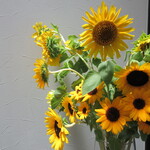 日本料理 TOBIUME - 店内