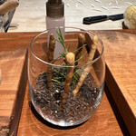 Hirovanna - グリッシーニ