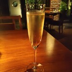 THE FUJIYA GOHONJIN - スパークリングワイン