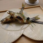 懐石料理 桝田 - 鮎