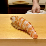 鮨 はしもと - 長崎 天然物 車海老
      養殖物が良い物が無かったので天然物にしたそうです。
      そうお聞きしても、天然物は良いよね〜とはなりませんで(⌒-⌒; )
      正直、天然と養殖を同時に食べないと違いは分かりませんね。