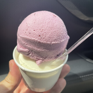 モーちゃんアイス工房_1