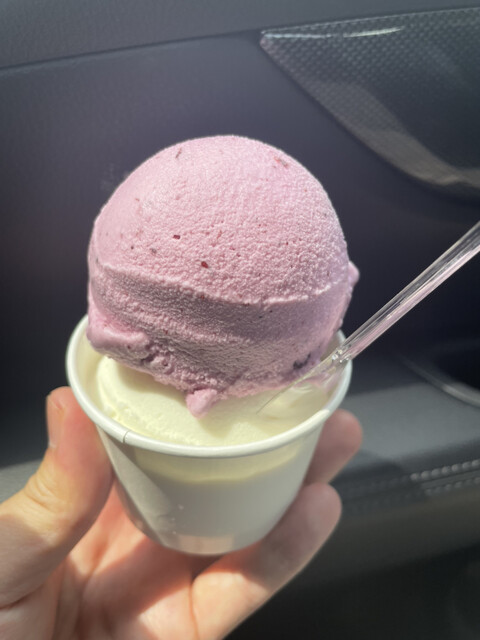 モーちゃんアイス工房 産直 来夢 - 陸中折居（ジェラート・アイスクリーム）の写真