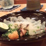 日本料理 たかむら - オコゼの刺身。