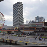 THE KOBECRUISE コンチェルト - 