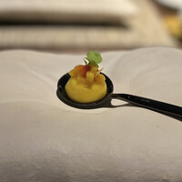 SPICE LAB TOKYO - 