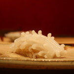 鮨 しみづ - 10日間熟成唐津のヤリイカ