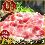 九州料理×もつ鍋 九州小町 - 