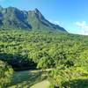 屋久島いわさきホテル - ロビーからの屋久島の風景は素晴らしい