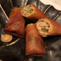 CINA New Modern Chinese - 