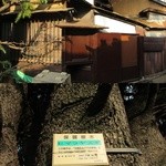 Mikadopanten - お店の裏手・保護樹木です