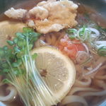 Mikamo - またもや・・・鶏天うどん♡・・・・750円( ♥´艸｀)全部乗せ♪