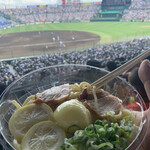 阪神甲子園球場 - 