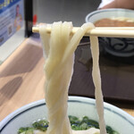 讃岐 うどん まごころ - うどん、にゅ～～ん！