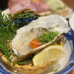 さかな酒場 魚星 - 桃の浦 真牡蠣
