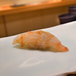 鮨 なんば - ぼたんえび