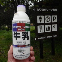 一期一会の牛乳』by タワマンぶらり旅2 : レストランカワヨグリーン ...