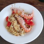 フォリオリーナ・デッラ・ポルタ・フォルトゥーナ - 