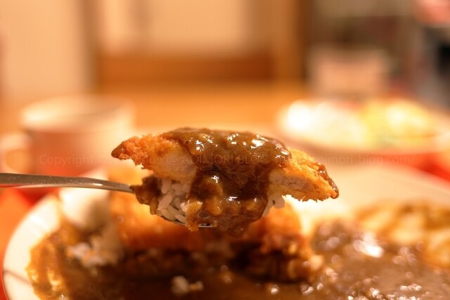 たんちゃ亭 - 十和田市（カレー）の写真