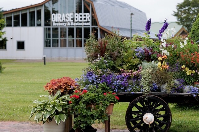 奥入瀬ビール ブルワリー＆レストラン（OIRASE BEER Brewery&Restaurant） - 十和田市（ビアバー）の写真